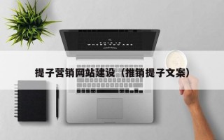 提子营销网站建设（推销提子文案）