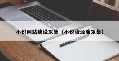 小说网站建设采集（小说资源库采集）
